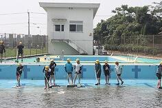 プールそうじのようす