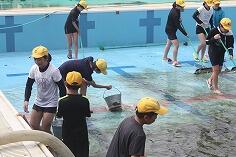 プールそうじのようす