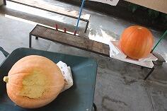 玄関前に置かれたおばけかぼちゃ