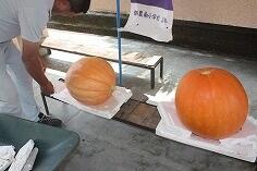 玄関前に置かれたおばけかぼちゃ