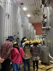 都農ワイナリー・工場の見学