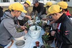 寄せ植えのようす