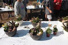 寄せ植え作品 寄せ植え作品