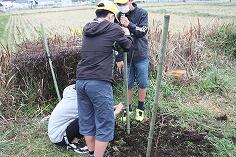 植樹のようす