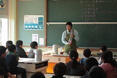 お茶入れソムリエによるお茶の入れ方指導