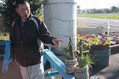 門松の由来について