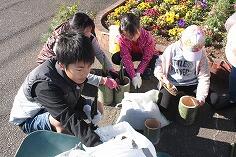 ミニ門松作りに挑戦