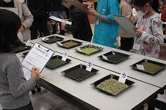 お茶の種類当て