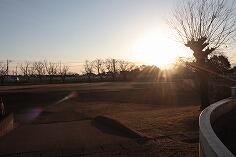 雨上がりの寒い朝