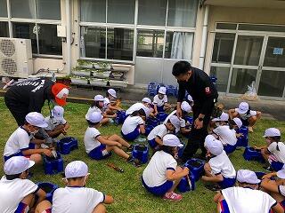 トモトの植え付け