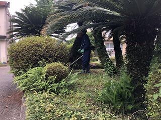 草刈り作業