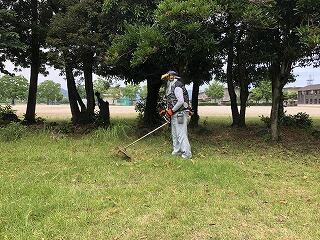 草刈り作業