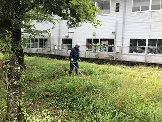 草刈り作業