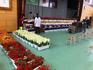 プランターの花並べ