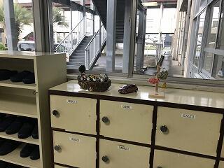 かわいいソテツの置物