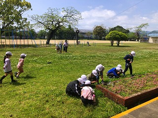 ３年生、生き物探しの様子