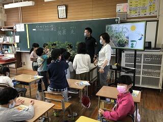 ミニトマトの栽培