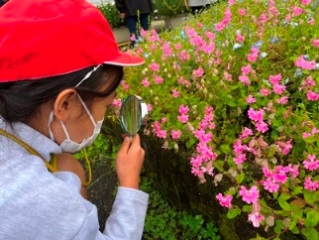 春の生き物探し