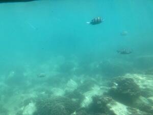 マリンビュワーなんごう6