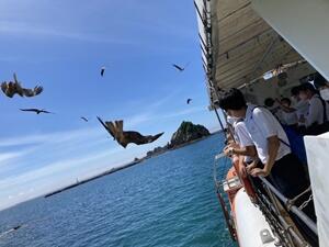 マリンビュワーなんごう8