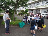 茶摘みを終えて