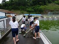 きれいになるまでがんばっています！