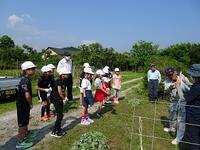 学校支援地域本部事業の一例