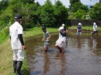 地域コーディネーターの方が見守っています