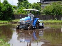 トラクターで植代　いつもありがとうございます！