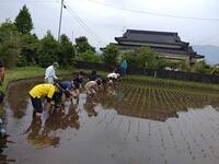 ご協力ありがとうございました!