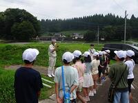 イネの成長についての説明を聞く児童