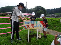 看板を設置します