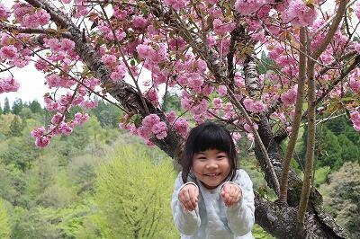 かわいらしいですね