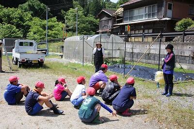 植え方の説明を聞いています