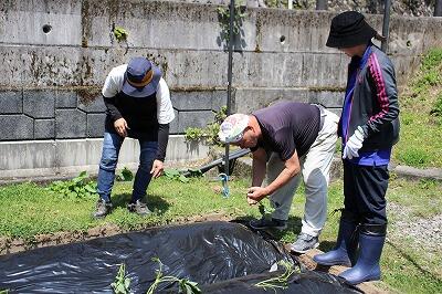 地域の方のお手伝いあっての畑です