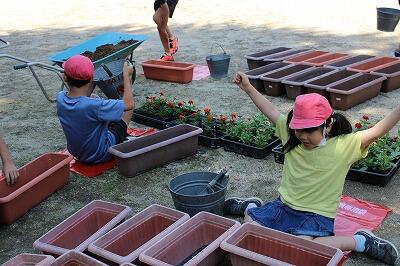 ボラ土を敷いて