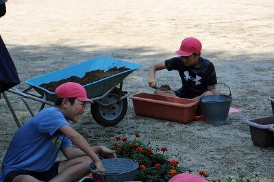 土を入れていきます