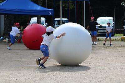 運動会と言えば、、、の大玉転がし