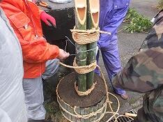 七・五・三に縄をしめます。