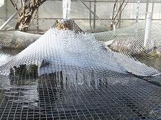 凍りついた池のネット