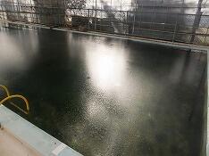 凍ってしまったプール