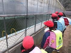 わー！凍ってる！