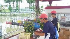 グリーンランドにて