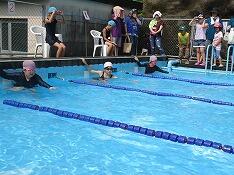 水泳大会の様子