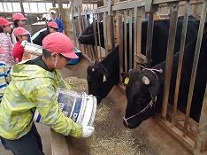 えさやり体験②