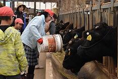 えさやり体験③