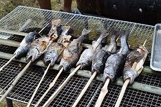 魚の塩焼き