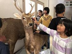 資料館を見学する様子１