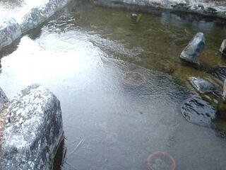 学校の池の氷