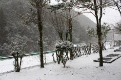 雪のようす(学校裏)